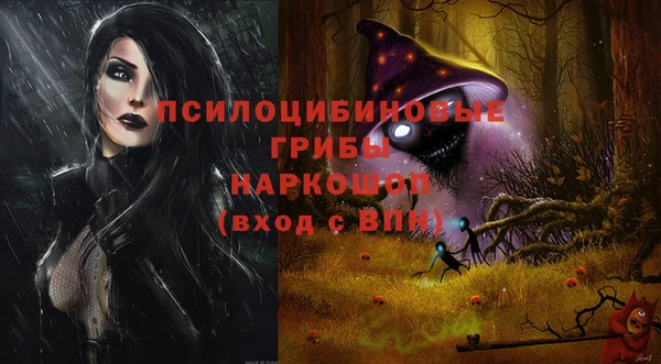 винт Абаза