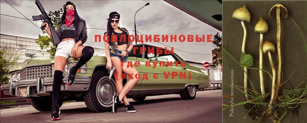 винт Абаза
