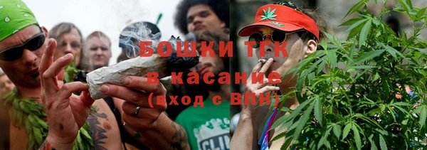 винт Абаза